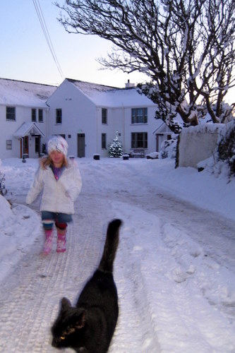 Winter in Rhoscolyn