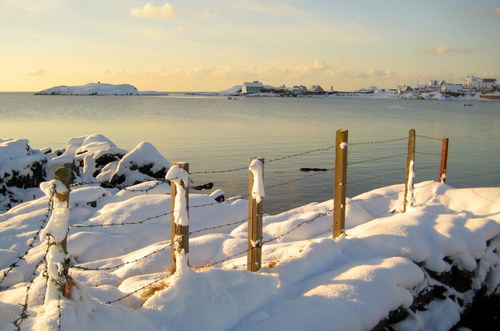 Winter in Rhoscolyn