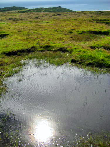 Rhoscolyn coastal walk07