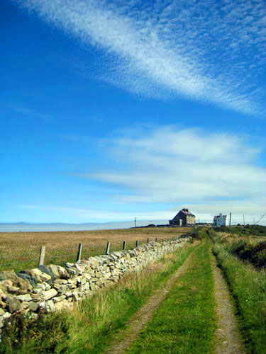 Rhoscolyn coastal walk11