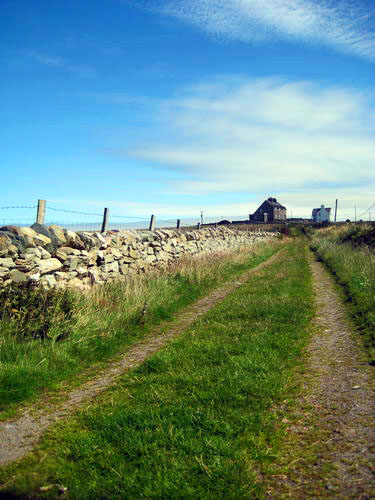 Rhoscolyn coastal walk12