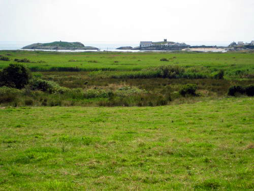 Rhoscolyn fields1