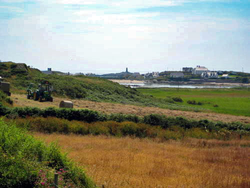 Rhoscolyn fields2