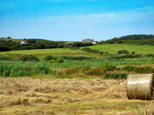 Rhoscolyn fields4