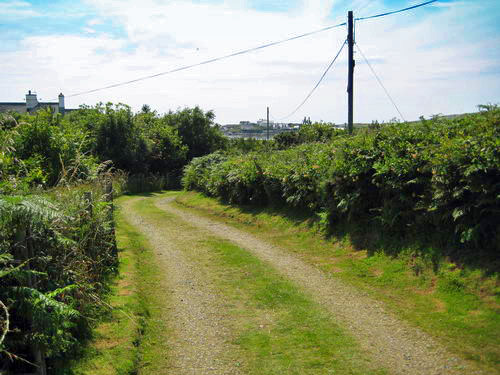 Path to Rhoscolyn beach3