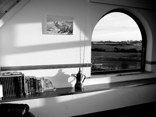 Y Stabl new living room window