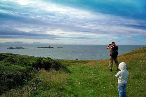 Rhoscolyn coastal walk01