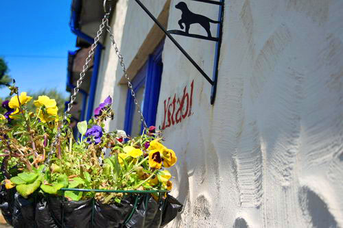 Y Stabl sign and flowers1