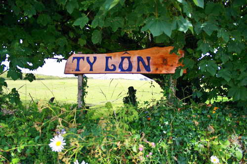 Ty Lon sign