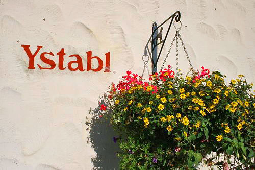 Y Stabl name and flowers