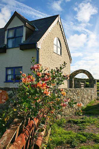 Y Stabl side with flowers